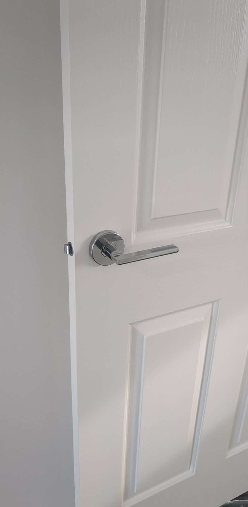 Internal door repainted in gloss enamel with new lever handle installed