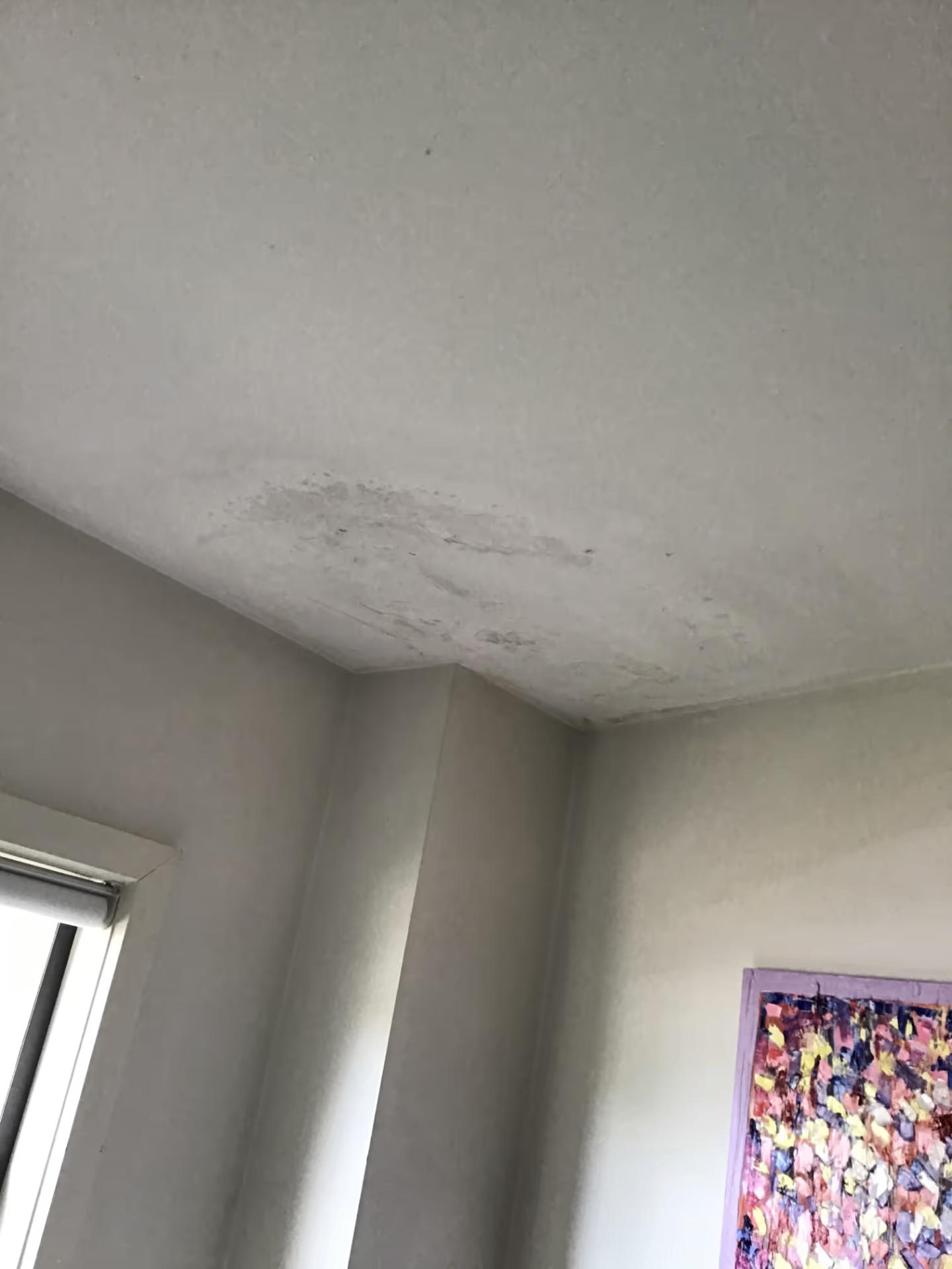 Water Damage Signs: Protecting Your Ceiling